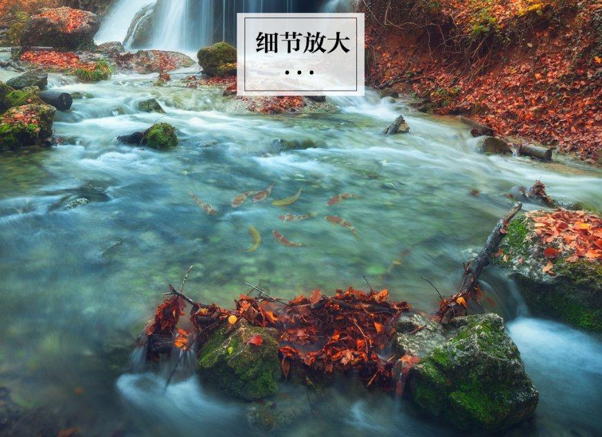 一顿浪漫晚餐